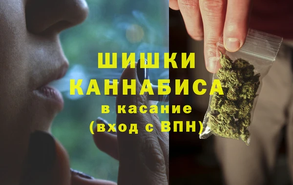 соль ск Богданович