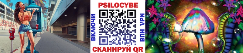 Псилоцибиновые грибы Cubensis  Кондопога 